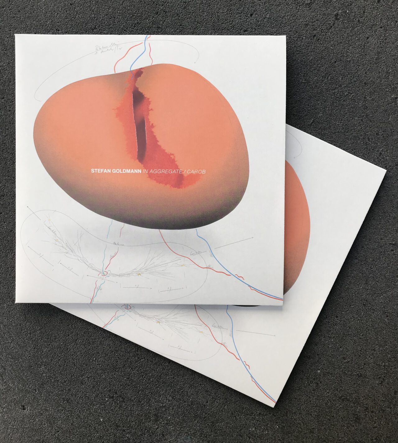 Jorinde Voigt - Stefan Goldmann