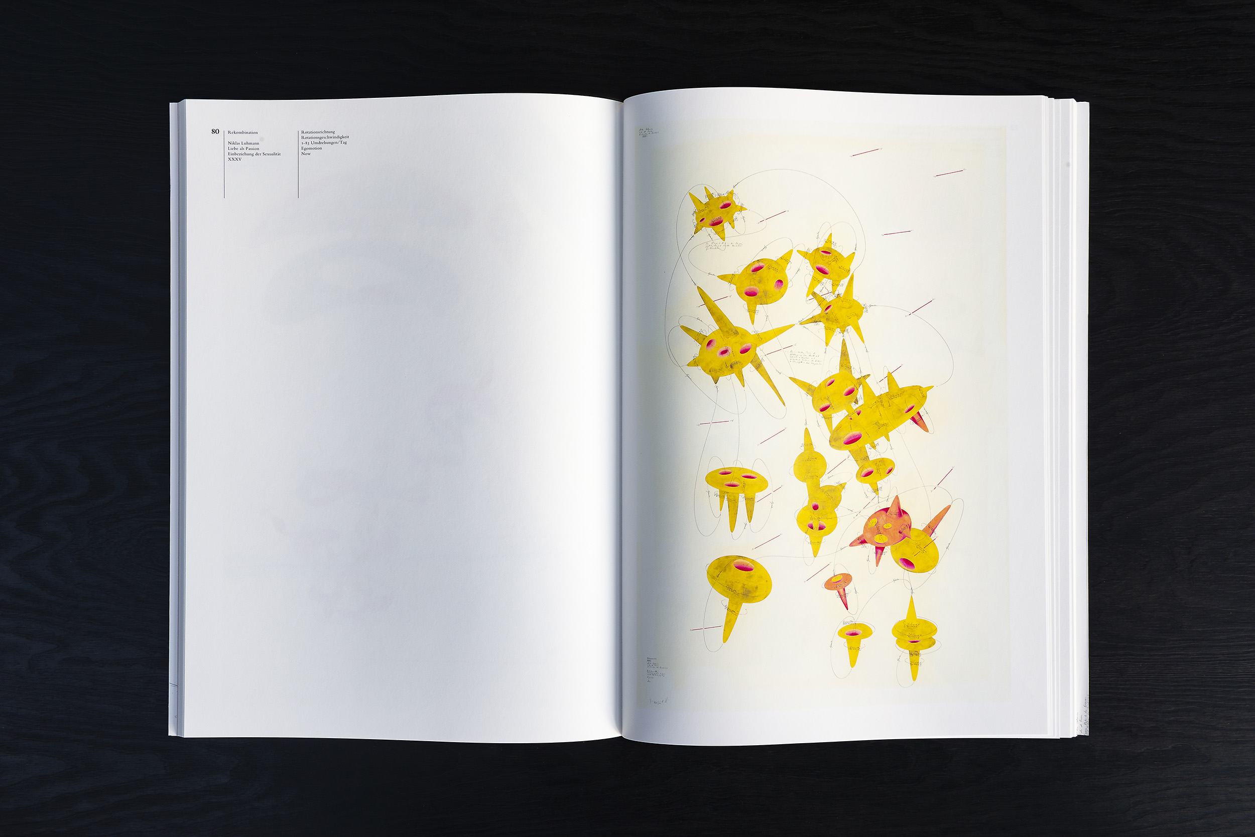 2014 Jorinde Voigt – Codification of Intimacy, Works on Niklas Luhmann, Liebe als Passion, Catalog on the occasion of the same entitled exhibition at David Nolan Gallery, New York, Editor: David Nolan, Text: Lisa Sintermann, Jorinde Voigt, Language: English, German, total pages: 184, Publishing: Revolver Publishing, ISBN 978-3-95763-100-8, Price: €55,00. inside 2