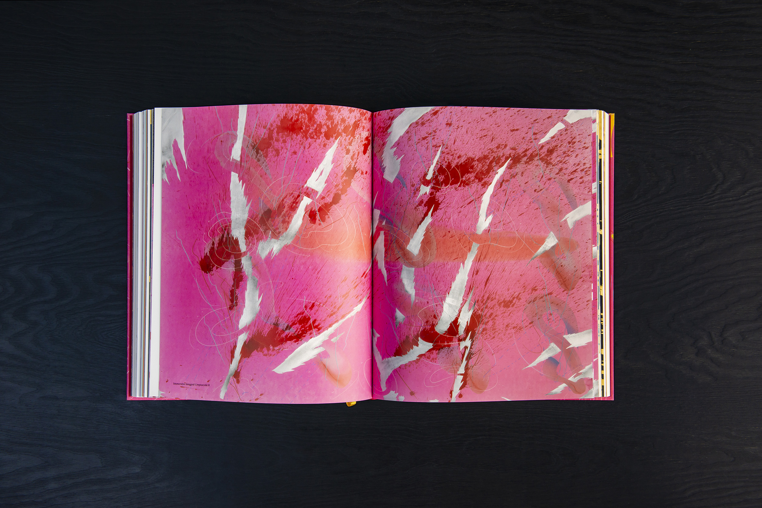 Jorinde Voigt – Immersion, Catalog on the occasion of the exhibition Jorinde Voigt. Universal Turn at Horst-Janssen-Museum, Oldenburg, Editor: Jorinde Voigt, Language: English, German, total pages: 416, Publishing: Hatje Cantz, ISBN 978-3-7757-4524-6, Price: €52,00. inside 4