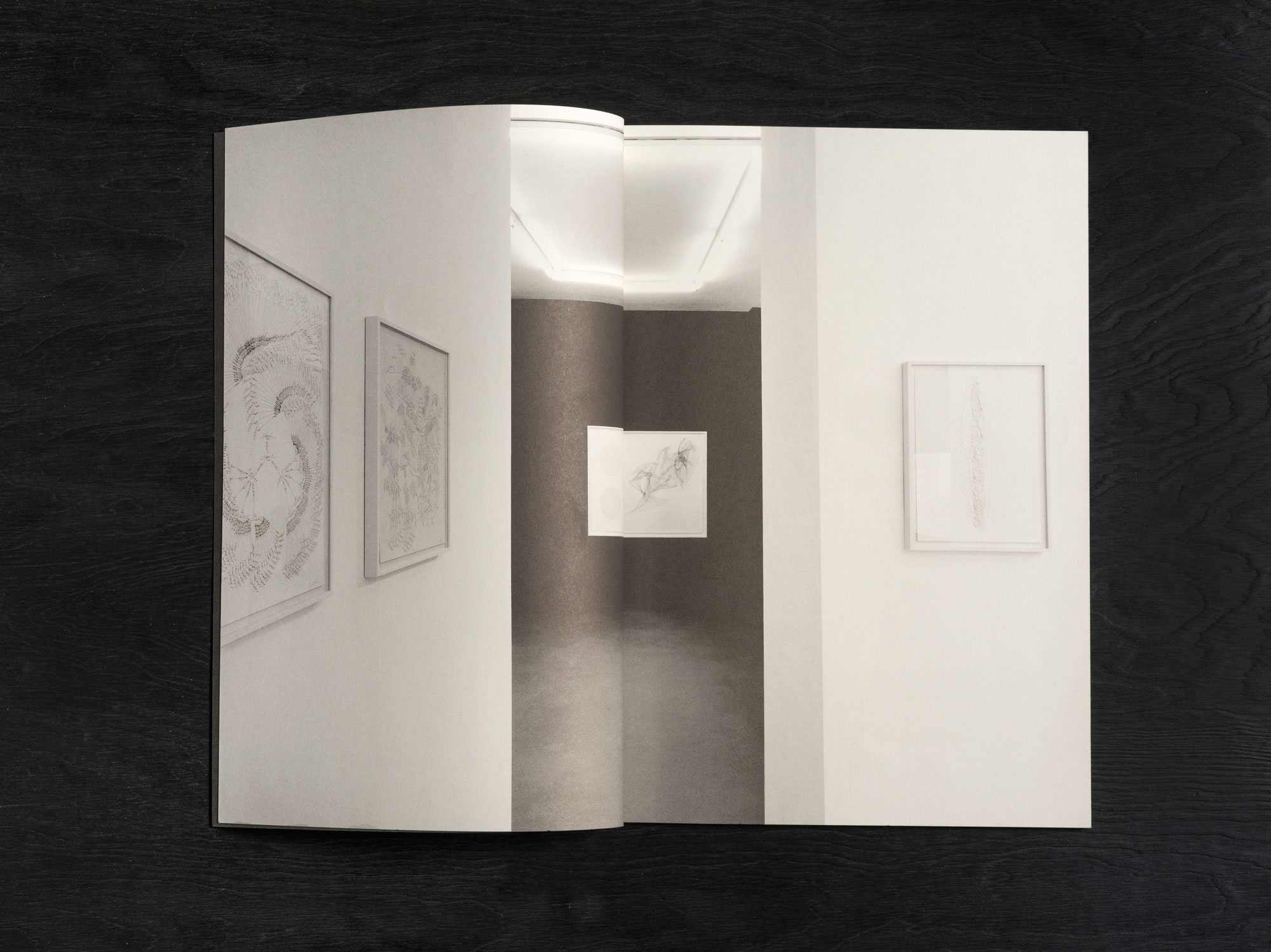 Jorinde Voigt - Matrix / Lemniscate / ∞, Catalog on the occasion of the same entitled exhibition at Galerie Christian Lethert, Cologne, Editor: Galerie Christian Lethert, Jorinde Voigt, Text: Andrew Cannon, Oliver Tepel, Anna Zett, Language: English, German, total pages: 76, Publishing: Kerber Verlag Bielefeld, ISBN: 978-3-866678-285-3, Price: €15,00.