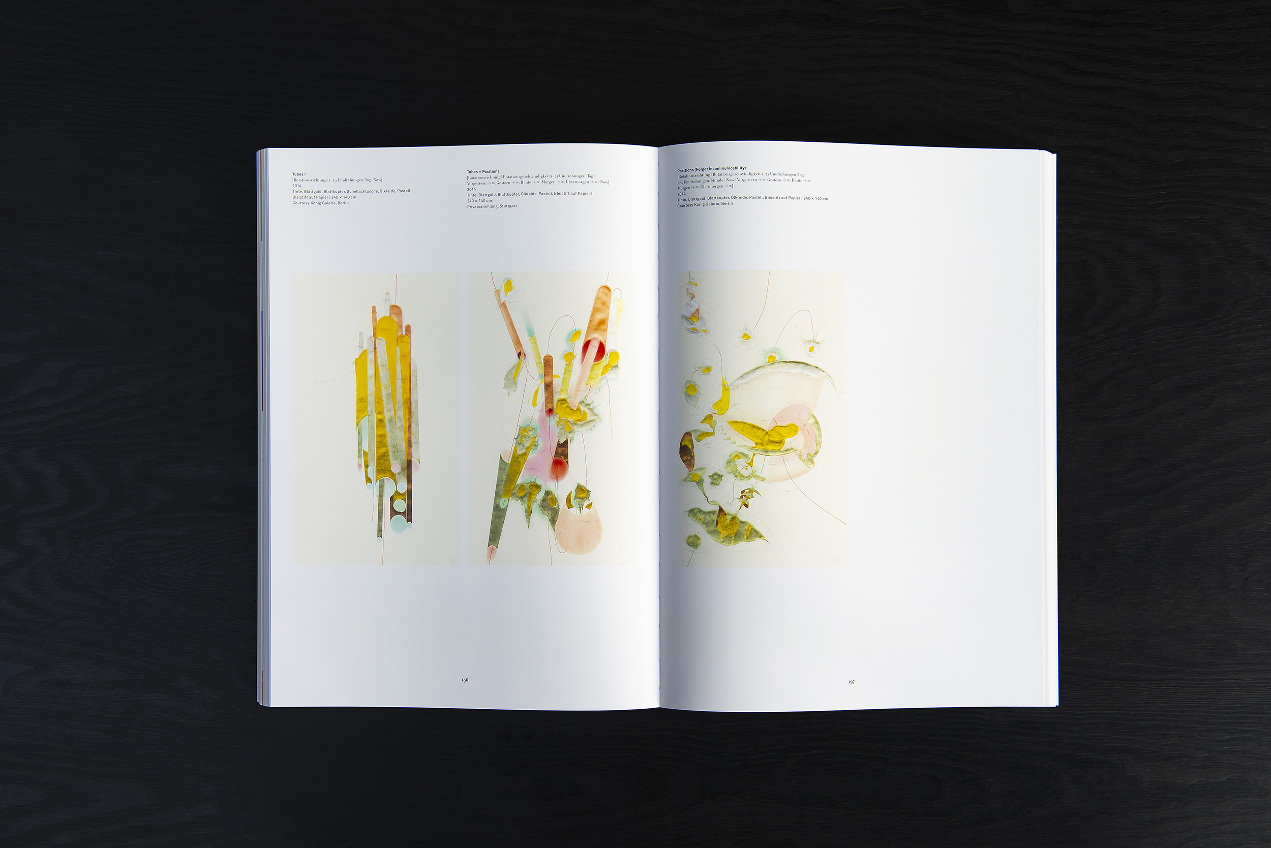 Jorinde Voigt – Now, Catalog on the occasion of the same entitled exhibition at Kunsthalle Krems, Austria, Editor: Julia Klüser und Hans-Peter Wipplinger, Text: Stephanie Damianitsch, Astrit Schmidt-Burkhardt, Language: English, German, total pages: 272, Publishing: Verlag der Buchhandlung Walther König, ISBN 978-3-901261-64-0, Price: €29,00. inside 7