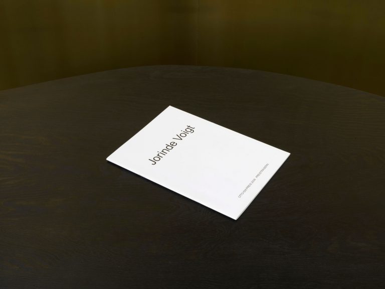 Jorinde Voigt. Otto-Dix-Preis 2008. Preisträgerin; Catalog on the occasion of the same entitled exhibition and awarding as the Price winner at Kunstsammlung Gera. Editor: Dr. Holger Peter Saupe, Text: Andreas Schalhorn. Language: Englisch, German, total pages: 23, contribution: all pages. Publishing: Kunstsammlung Gera. ISBN: 978-3-910051-56-0, Price: €15,00.