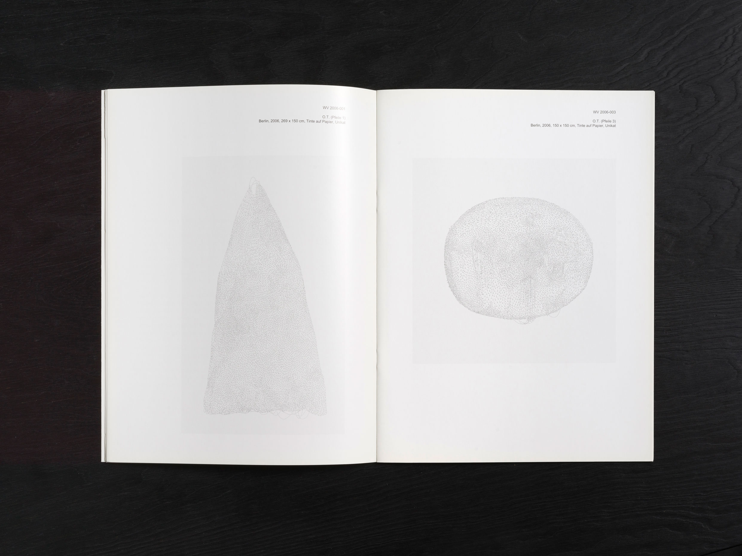 Jorinde Voigt. Otto-Dix-Preis 2008. Preisträgerin; Catalog on the occasion of the same entitled exhibition and awarding as the Price winner at Kunstsammlung Gera. Editor: Dr. Holger Peter Saupe, Text: Andreas Schalhorn. Language: Englisch, German, total pages: 23, contribution: all pages. Publishing: Kunstsammlung Gera. ISBN: 978-3-910051-56-0, Price: €15,00.