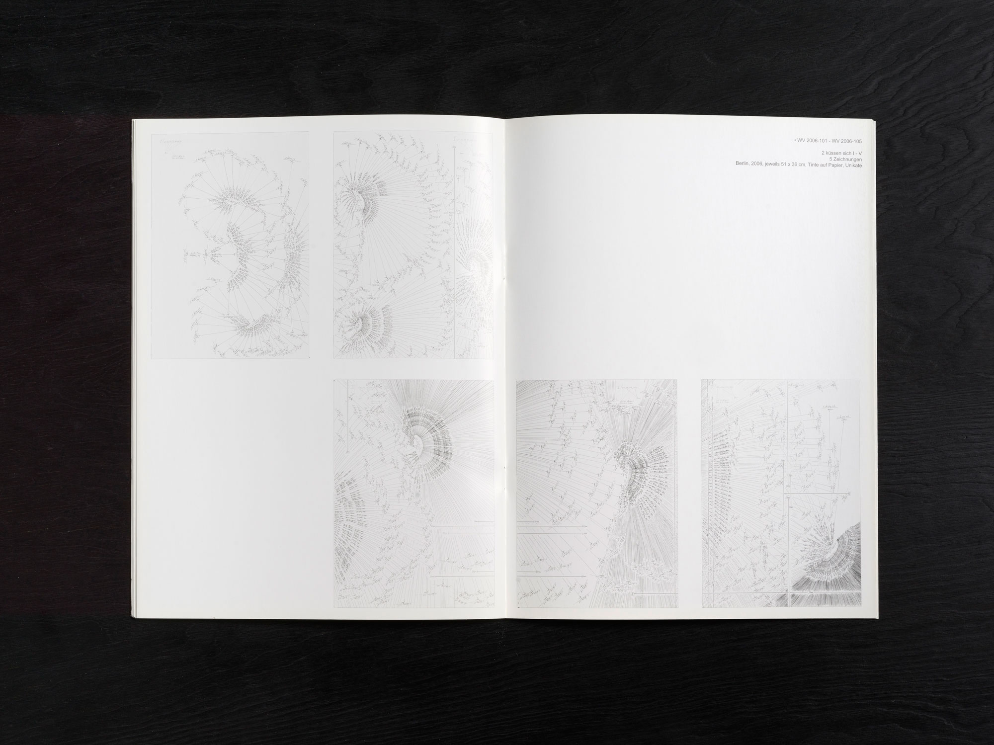 Jorinde Voigt. Otto-Dix-Preis 2008. Preisträgerin; Catalog on the occasion of the same entitled exhibition and awarding as the Price winner at Kunstsammlung Gera. Editor: Dr. Holger Peter Saupe, Text: Andreas Schalhorn. Language: Englisch, German, total pages: 23, contribution: all pages. Publishing: Kunstsammlung Gera. ISBN: 978-3-910051-56-0, Price: €15,00.