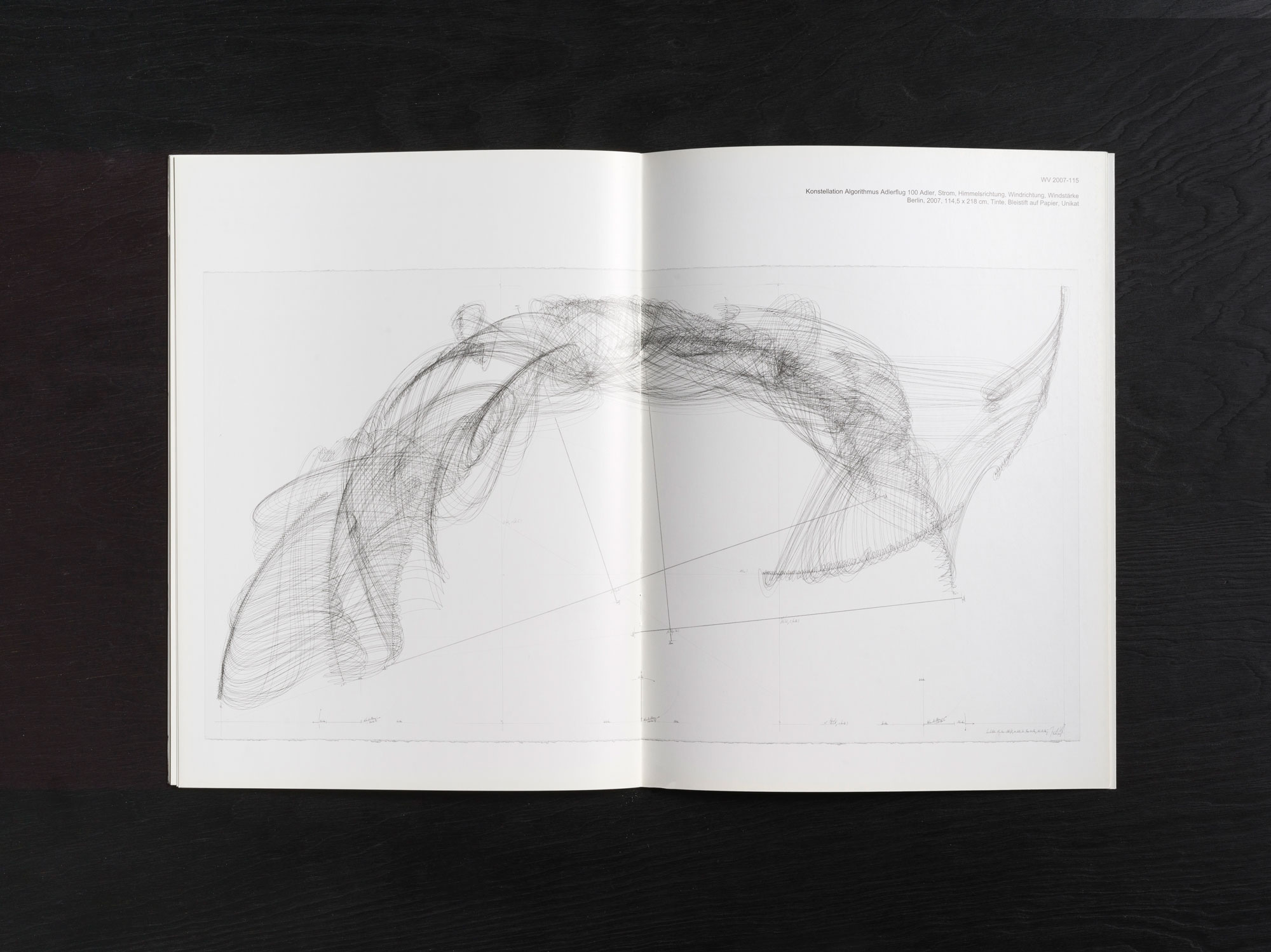 Jorinde Voigt. Otto-Dix-Preis 2008. Preisträgerin; Catalog on the occasion of the same entitled exhibition and awarding as the Price winner at Kunstsammlung Gera. Editor: Dr. Holger Peter Saupe, Text: Andreas Schalhorn. Language: Englisch, German, total pages: 23, contribution: all pages. Publishing: Kunstsammlung Gera. ISBN: 978-3-910051-56-0, Price: €15,00.