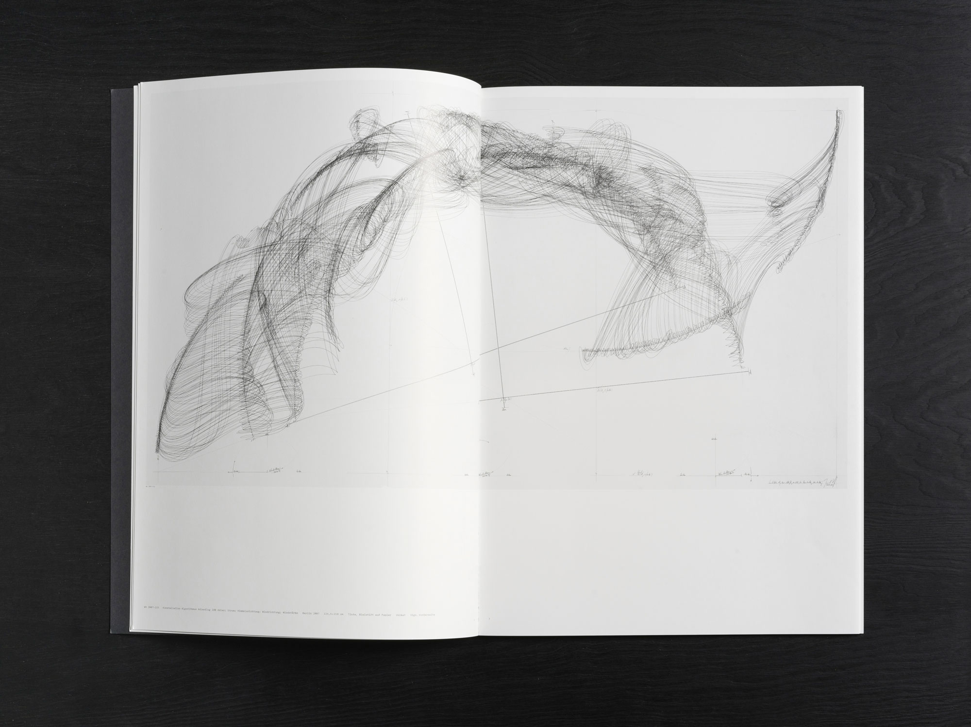 Jorinde Voigt – ReWrite, Catalog on the occasion of the same entitled exhibition at Galerie Fahnemann, Fahnemann Projects, Berlin, Editor: Clemens Fahnemann, Jorinde Voigt, Text: Andrew Cannon, Language: English, German, total pages: 67, Publishing: KraskaEckstein Verlag, ISBN: 978-3-940717-04-7, Price: €15,00