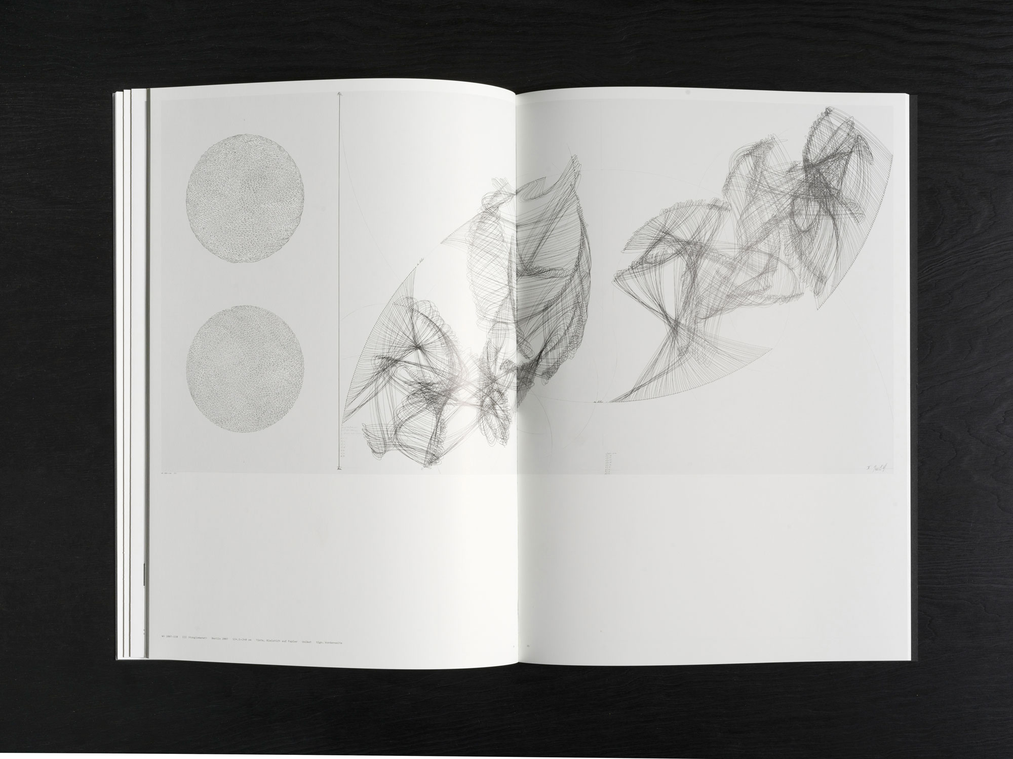 Jorinde Voigt – ReWrite, Catalog on the occasion of the same entitled exhibition at Galerie Fahnemann, Fahnemann Projects, Berlin, Editor: Clemens Fahnemann, Jorinde Voigt, Text: Andrew Cannon, Language: English, German, total pages: 67, Publishing: KraskaEckstein Verlag, ISBN: 978-3-940717-04-7, Price: €15,00