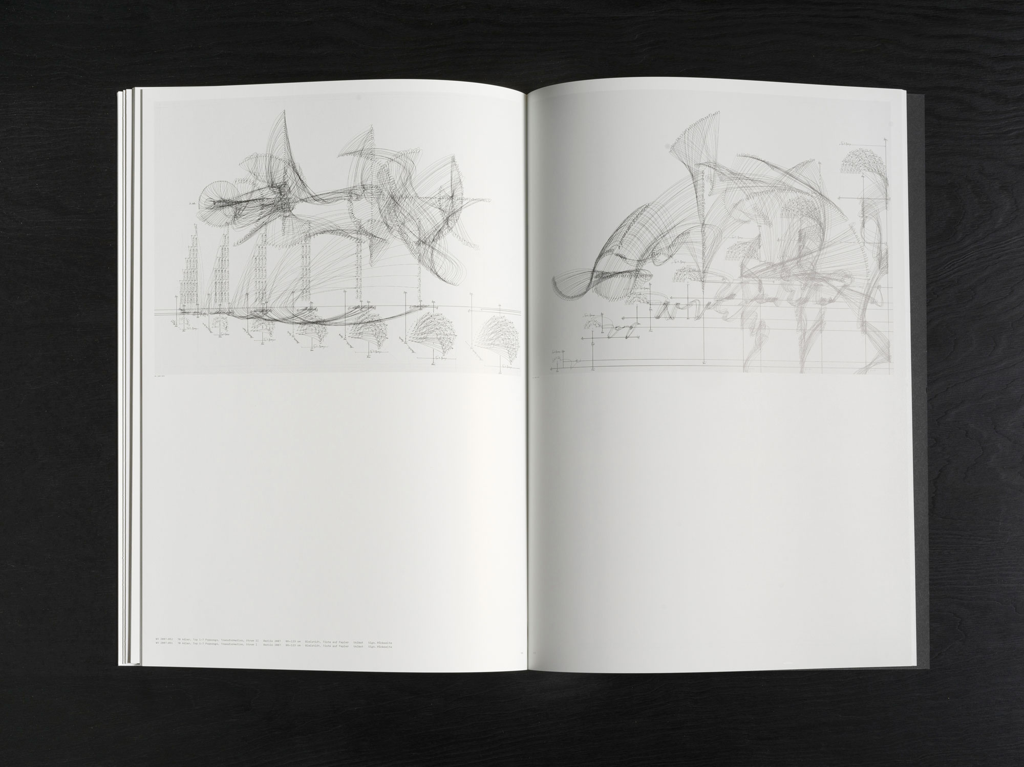 Jorinde Voigt – ReWrite, Catalog on the occasion of the same entitled exhibition at Galerie Fahnemann, Fahnemann Projects, Berlin, Editor: Clemens Fahnemann, Jorinde Voigt, Text: Andrew Cannon, Language: English, German, total pages: 67, Publishing: KraskaEckstein Verlag, ISBN: 978-3-940717-04-7, Price: €15,00