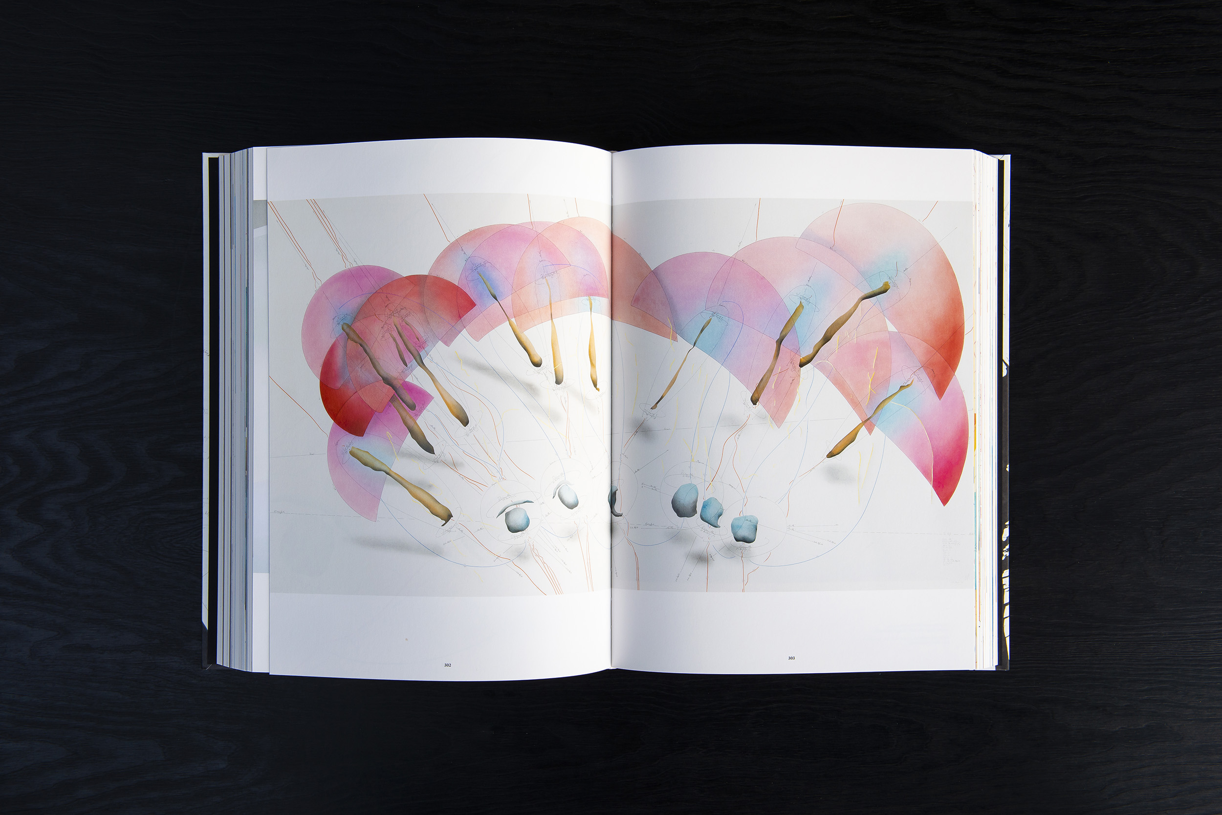 Jorinde Voigt – Shift, Catalog on the occasion of the exhibition Jorinde Voigt. A New Kind of Joy at Kunsthalle Nürnberg, Editor: Jorinde Voigt, Language: English, German, total pages: 544, Publishing: Verlag der Buchhandlung Walther König, ISBN 978-3-96098-146-6, Price: €60,00. inside 1